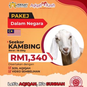 Aqiqah Kambing Dalam Negara – 1 Ekor